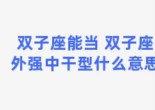 双子座能当 双子座外强中干型什么意思